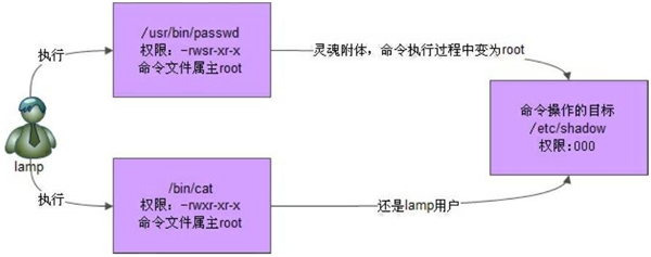 202102030744 1.9.11 Linux SetUID(SUID)文件特殊权限详解