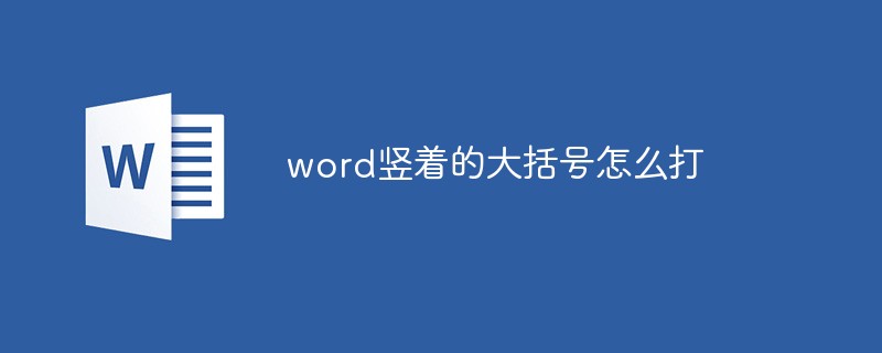 word竖着的大括号怎么打-word