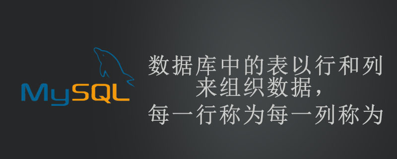 20210619015720121160 数据库中的表以行和列来组织数据,每一行称为每一列称为-mysql教程