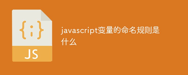 202106190158185094130 javascript变量的命名规则是什么-前端问答