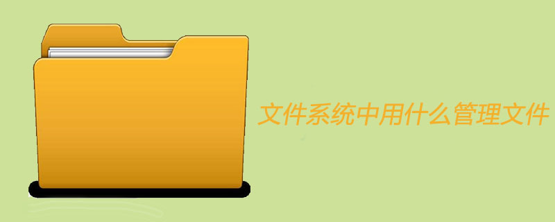 202106190215386071650 文件系统中用什么管理文件