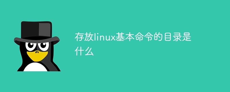 存放linux基本命令的目录是什么-linux运维