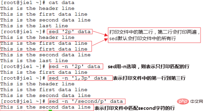 linux中的sed是什么意思-linux运维