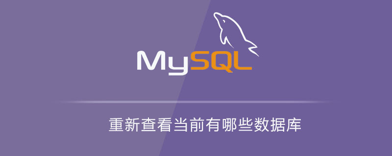 重新查看当前有哪些数据库-mysql知识