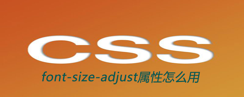 202106190237127410430 css font