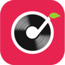 铃音app是干什么的-常见问题