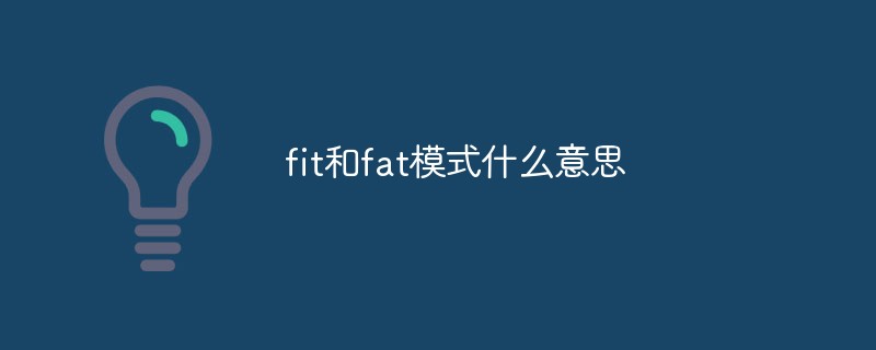 202106190243406771130 fit和fat模式什么意思-常见问题
