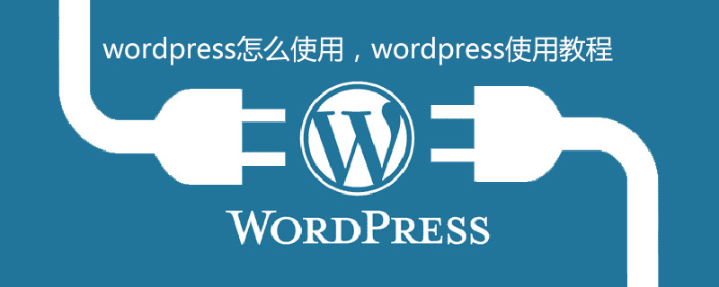 202106190250005976630 wordpress怎么使用,wordpress使用教程-WordPress