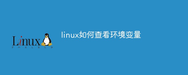 202106190301595347030 linux如何查看环境变量-linux运维
