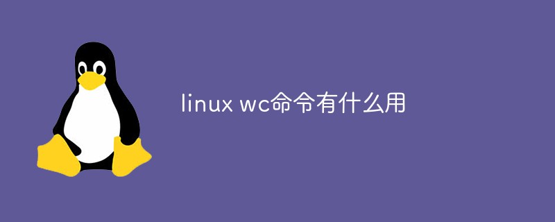 linux wc命令有什么用-linux运维