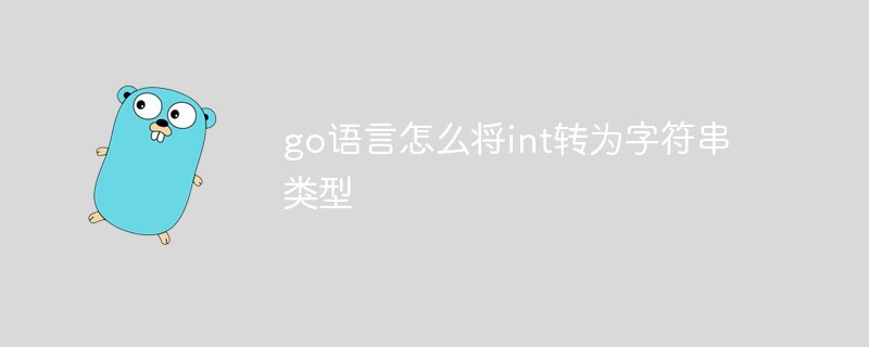 20210619031941508120 go语言怎么将int转为字符串类型-Golang