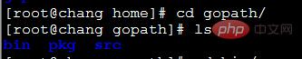 202106190321566666031 linux下怎么安装go语言环境-Golang