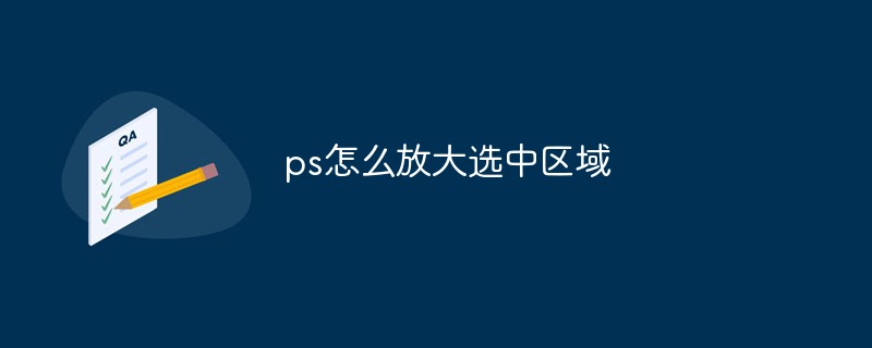202106190343397371700 ps怎么放大选中区域-PS教程
