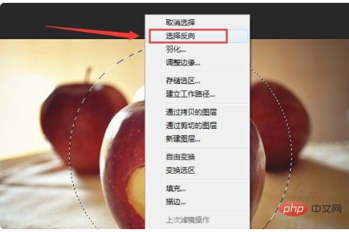 ps把方形图片变成圆形-PS教程