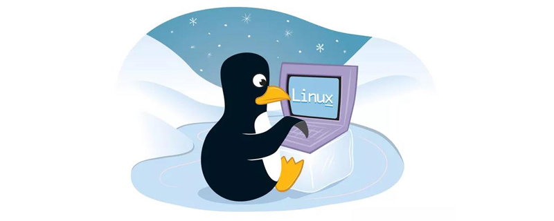 202106190351032765530 解决linux系统中找不到命令的问题-linux运维
