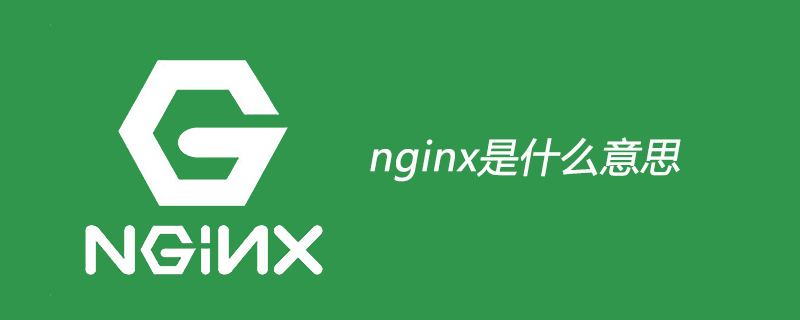 202106190354445468020 nginx是什么意思-Nginx