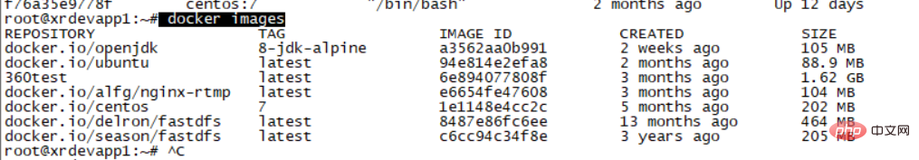 202106190400102225147 centos硬盘容量查看的方法-CentOS