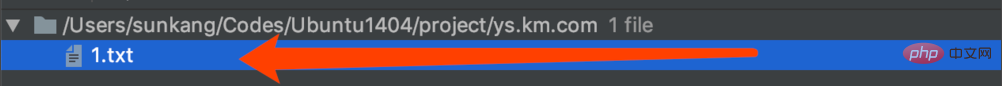phpstorm如何找回删除的文件