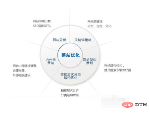 怎么进行seo优化-SEO