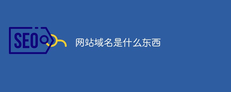 202106190430289249140 网站域名是什么东西-SEO