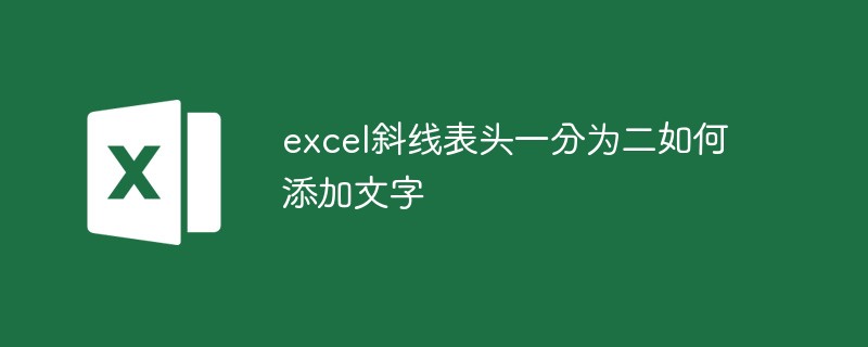 202106190445078288480 excel斜线表头一分为二如何添加文字-excel