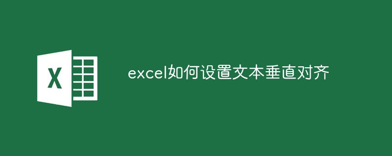 202106190448308535980 excel如何设置文本垂直对齐-excel