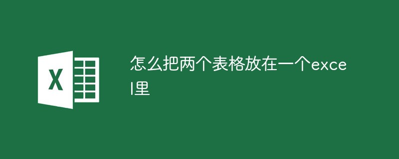 202106190449079218320 怎么把两个表格放在一个excel里-excel