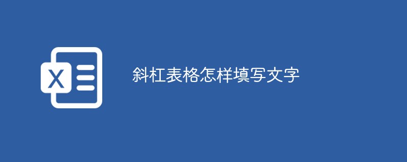 202106190450085975690 斜杠表格怎样填写文字-excel