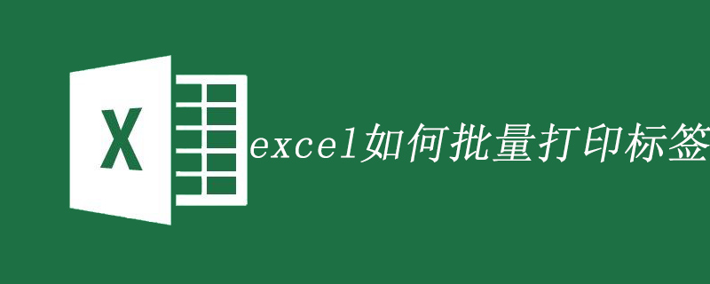 202106190451557830620 excel如何批量打印标签-excel