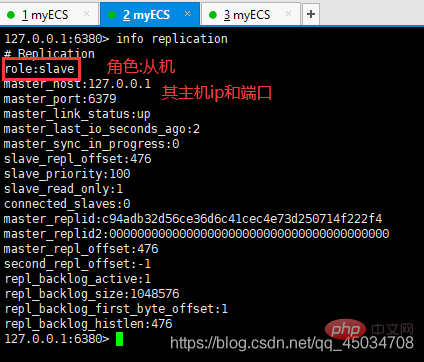 2021061904571072856910 Redis讲解主从复制和哨兵模式