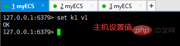 2021061904571362152713 Redis讲解主从复制和哨兵模式
