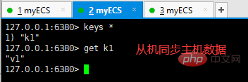 2021061904571445380814 Redis讲解主从复制和哨兵模式