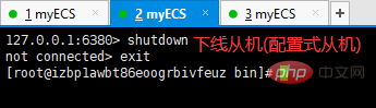2021061904572060939121 Redis讲解主从复制和哨兵模式