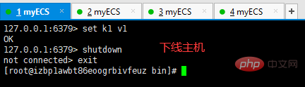 2021061904573795203439 Redis讲解主从复制和哨兵模式