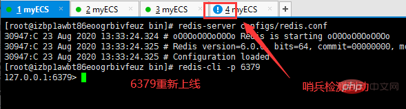 2021061904574114221642 Redis讲解主从复制和哨兵模式
