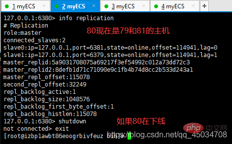2021061904574399893845 Redis讲解主从复制和哨兵模式