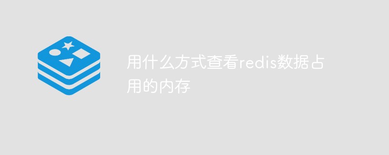 202106190458056111350 用什么方式查看redis数据占用的内存