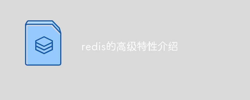 20210619045829974400 redis的高级特性介绍