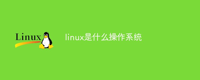 202106190559142291690 linux是什么操作系统-linux运维