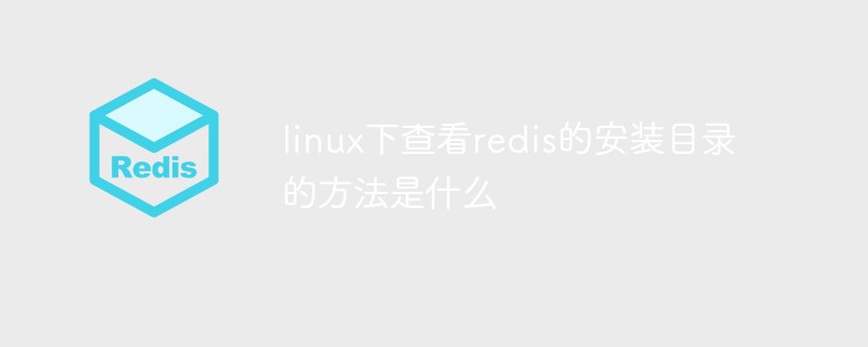 202106190559158780190 linux下查看redis的安装目录的方法是什么
