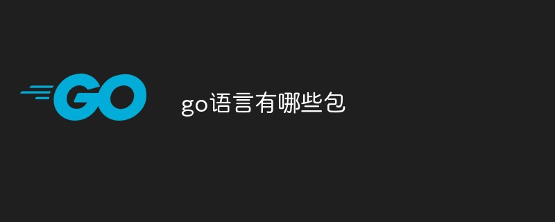 202106191207057632440 go语言有哪些包-Golang