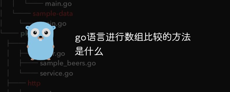 202106191207361466310 go语言进行数组比较的方法是什么-Golang