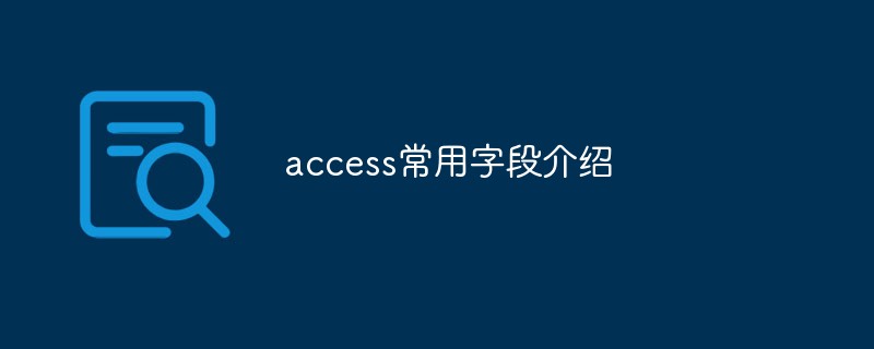 202106191228242057200 access常用字段介绍