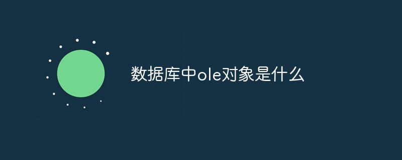 20210619122956269750 数据库中ole对象是什么-SQL