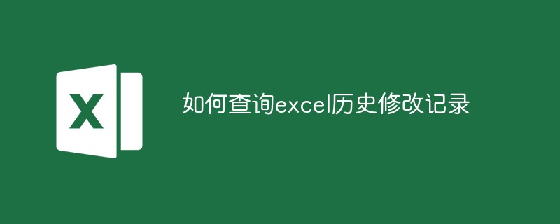 202106191236389971950 如何查询excel历史修改记录-excel