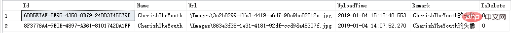 .net mvc+layui做图片上传图文详解