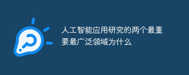 2021062013133716183060 人工智能应用研究的两个最重要最广泛领域是什么