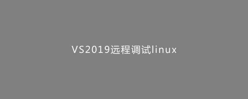 2021062013255315005980 VS2019远程调试linux