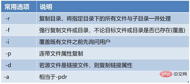 常用的linux命令