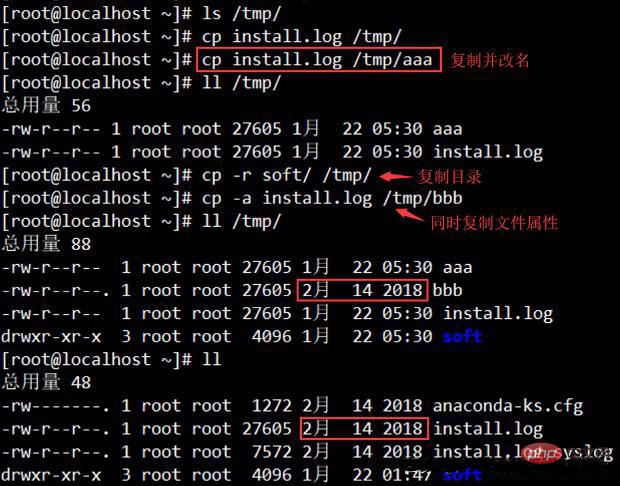 常用的linux命令